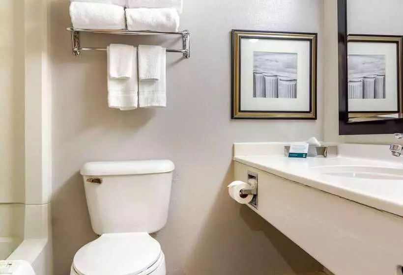 酒店 Budget Inn Denver Downtown