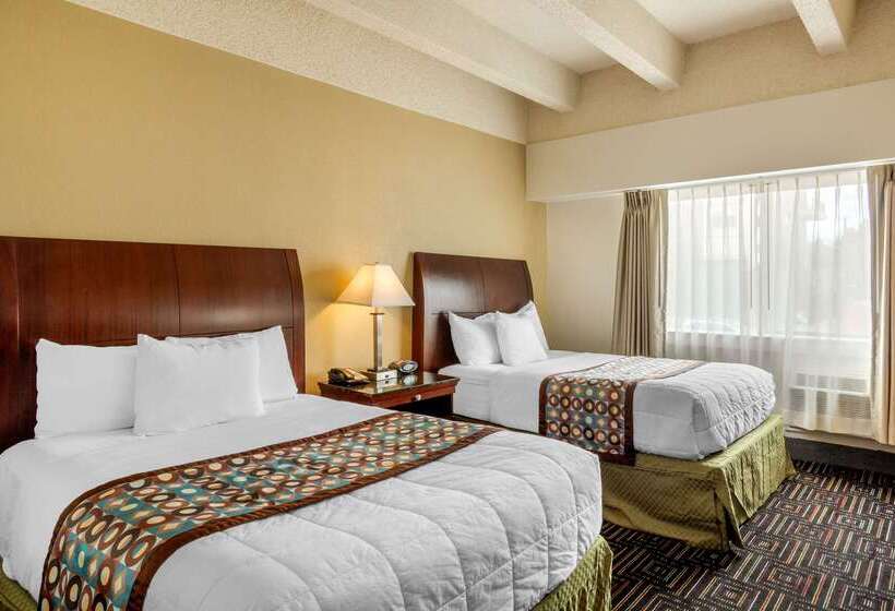فندق Budget Inn Denver Downtown