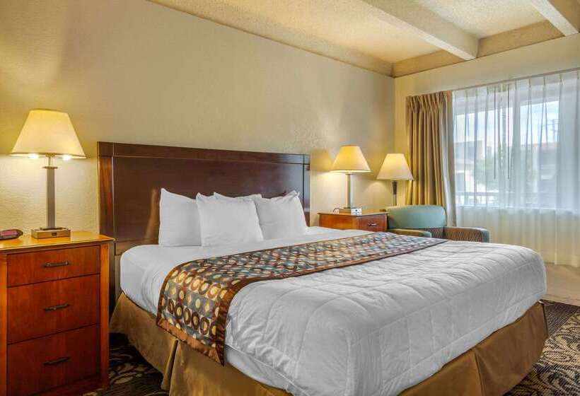 فندق Budget Inn Denver Downtown