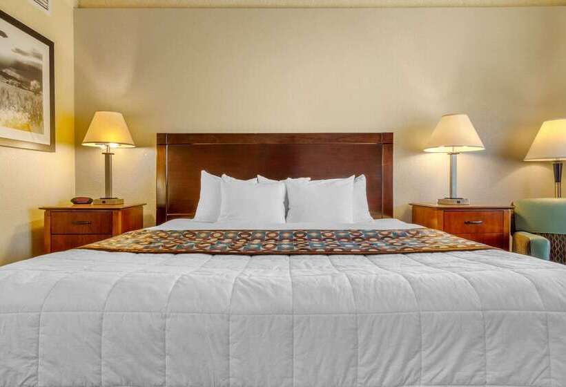 فندق Budget Inn Denver Downtown