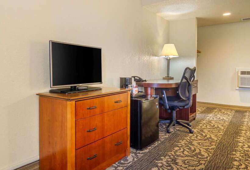 فندق Budget Inn Denver Downtown