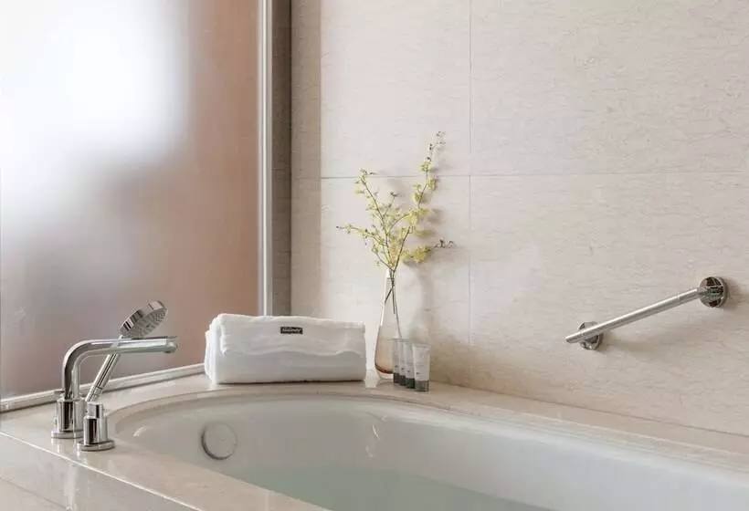 هتل The Westin Nanjing Xuanwu Lake