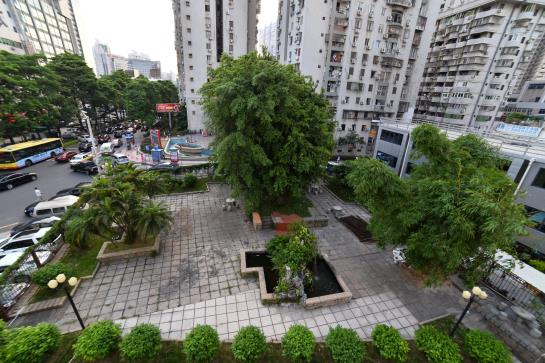 בית מלון כפרי Xiamen Airline