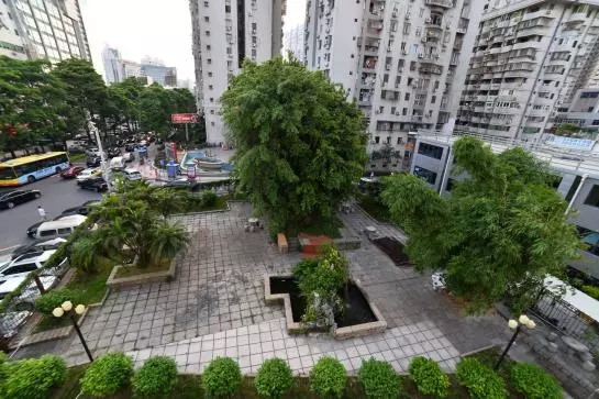 בית מלון כפרי Xiamen Airline