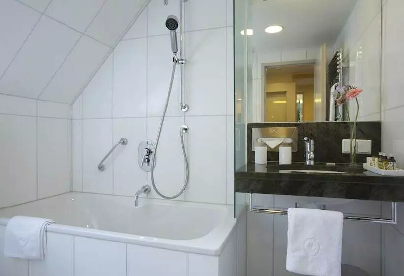 Appartement Hotel An Der Riemergasse