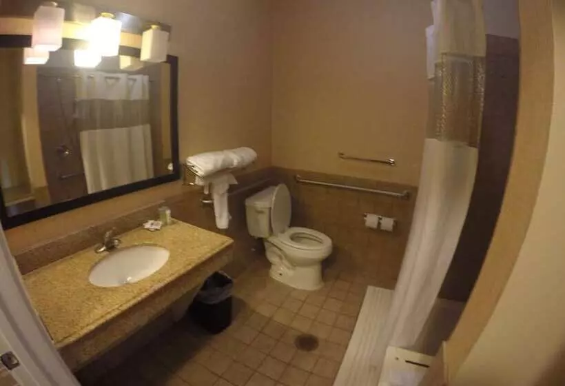 Hotel Airway Inn   Iah Airport