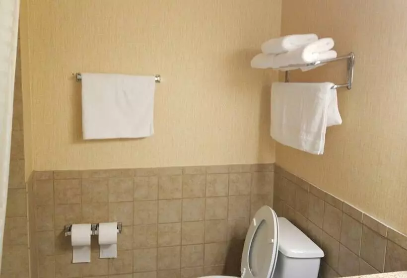 Hotel Airway Inn   Iah Airport