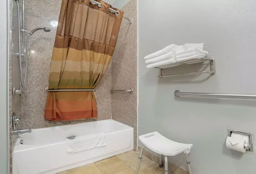 ホテル Best Western Wakulla Inn & Suites