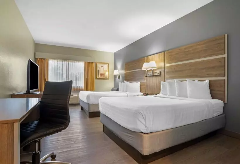 ホテル Best Western Wakulla Inn & Suites