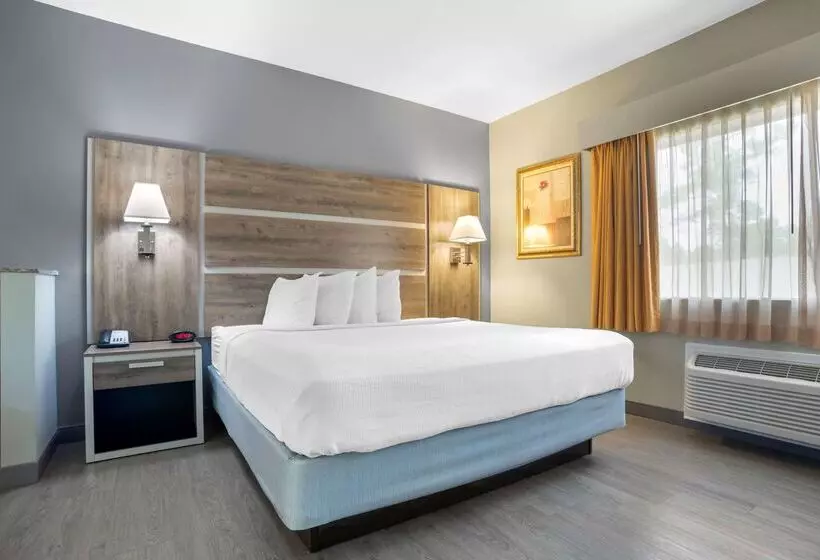 ホテル Best Western Wakulla Inn & Suites