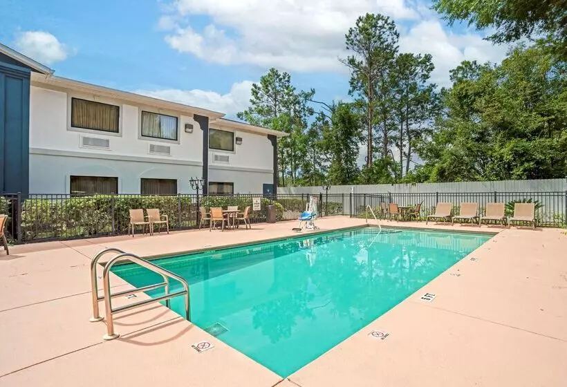 ホテル Best Western Wakulla Inn & Suites