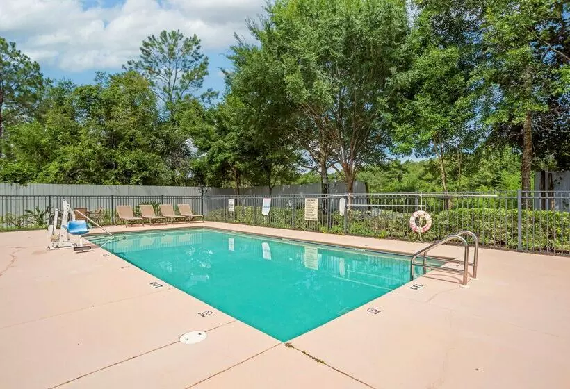 ホテル Best Western Wakulla Inn & Suites