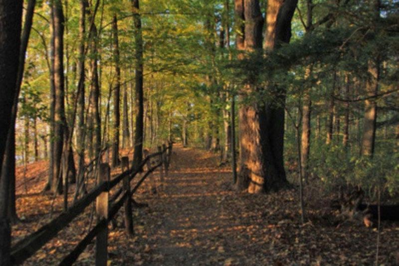 هتل Candlewood Suites Indianapolis Northwest, An Ihg