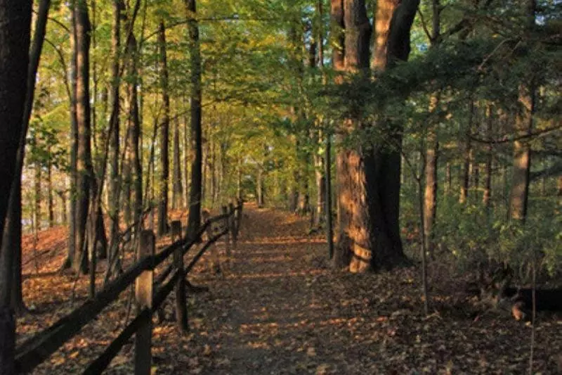 酒店 Candlewood Suites Indianapolis Northwest, An Ihg