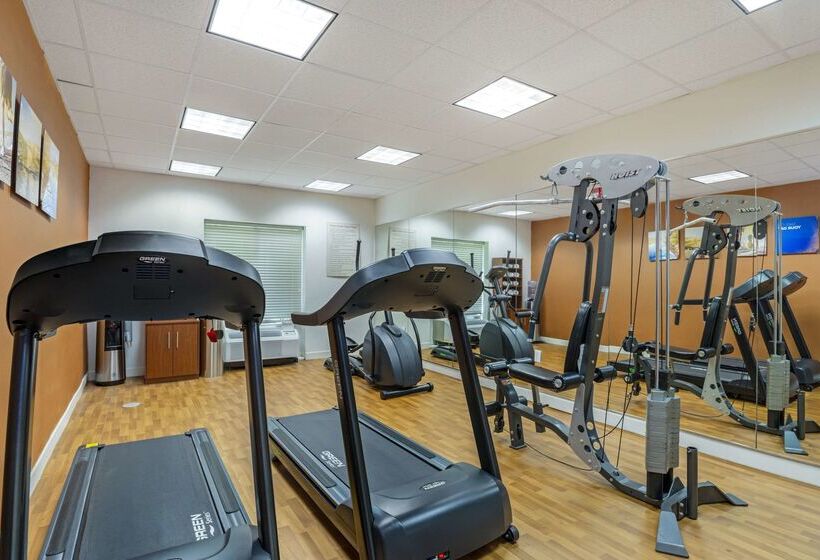 فندق Comfort Suites At Virginia Center Commons