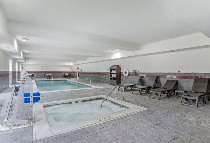 Hotel Comfort Suites At Virginia Center Commons