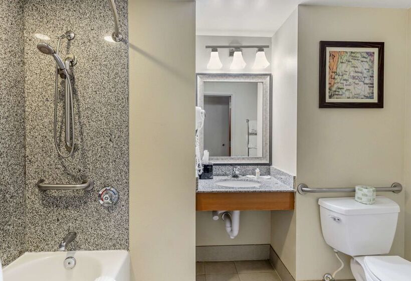 فندق Comfort Suites At Virginia Center Commons