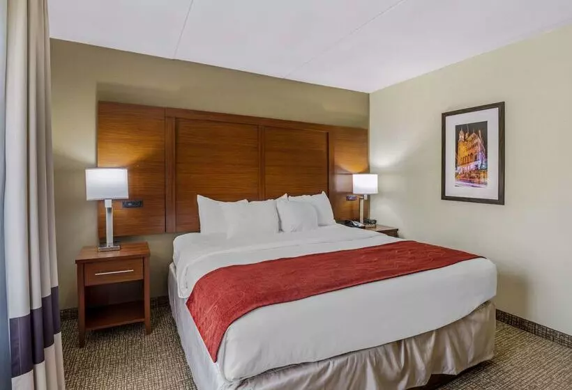 Hotel Comfort Suites At Virginia Center Commons
