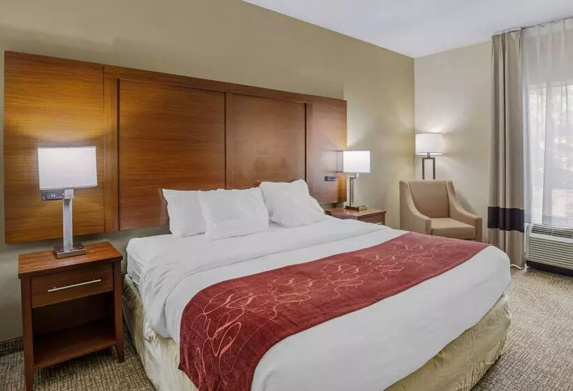 Hotel Comfort Suites At Virginia Center Commons
