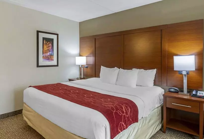 Hotel Comfort Suites At Virginia Center Commons