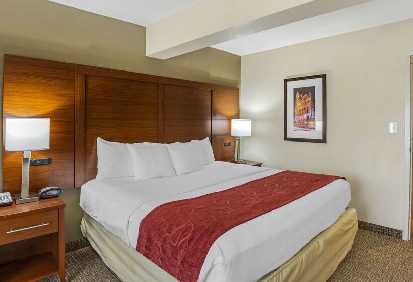 فندق Comfort Suites At Virginia Center Commons