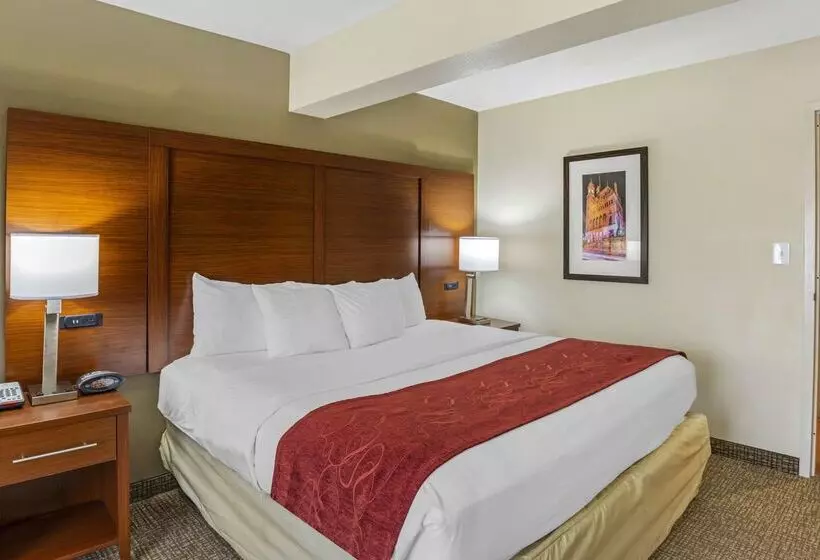 Hotel Comfort Suites At Virginia Center Commons