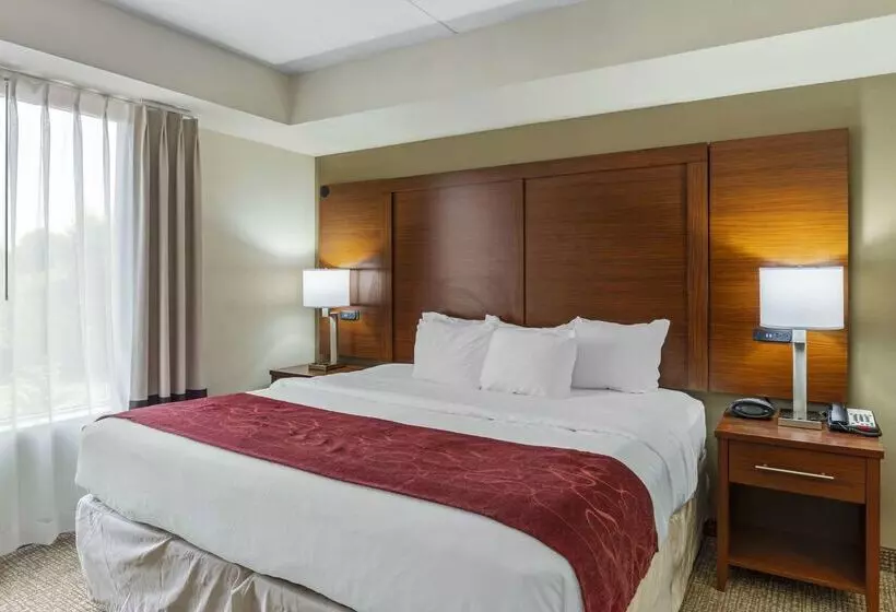 Hotel Comfort Suites At Virginia Center Commons