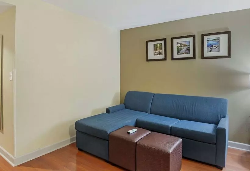 Hotel Comfort Suites At Virginia Center Commons