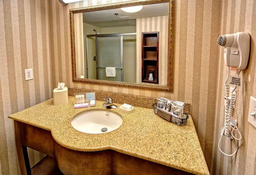 호텔 Hampton Inn & Suites Cashierssapphire Valley