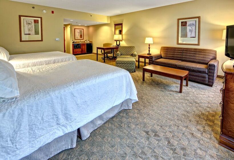 酒店 Hampton Inn & Suites Cashierssapphire Valley