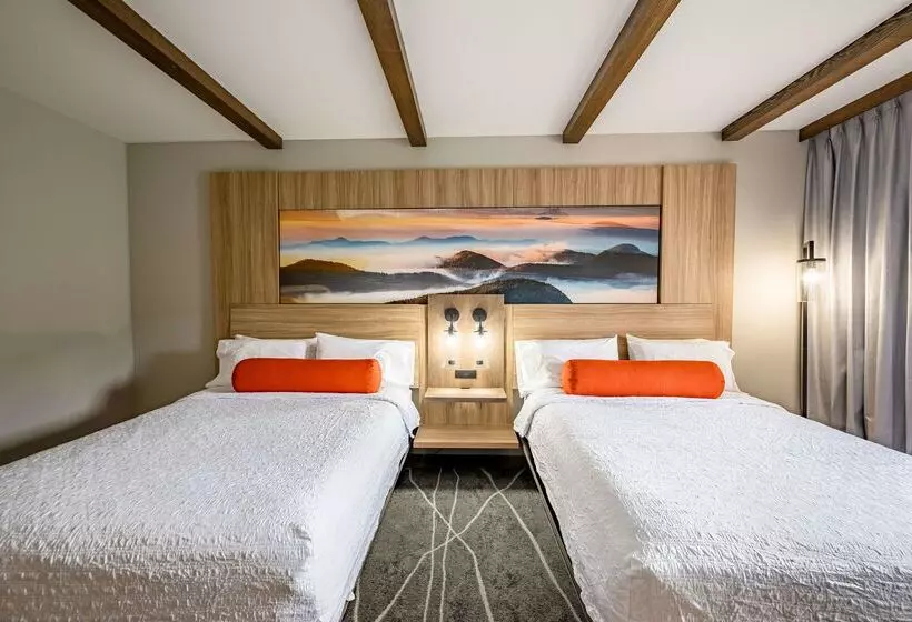 호텔 Hampton Inn & Suites Cashierssapphire Valley