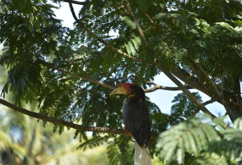 Hotel Hof Gorei Beach Resort Davao