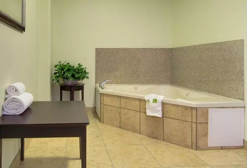 Holiday Inn Express Hotel & Suites Kansas City Sports Complex, An Ihg