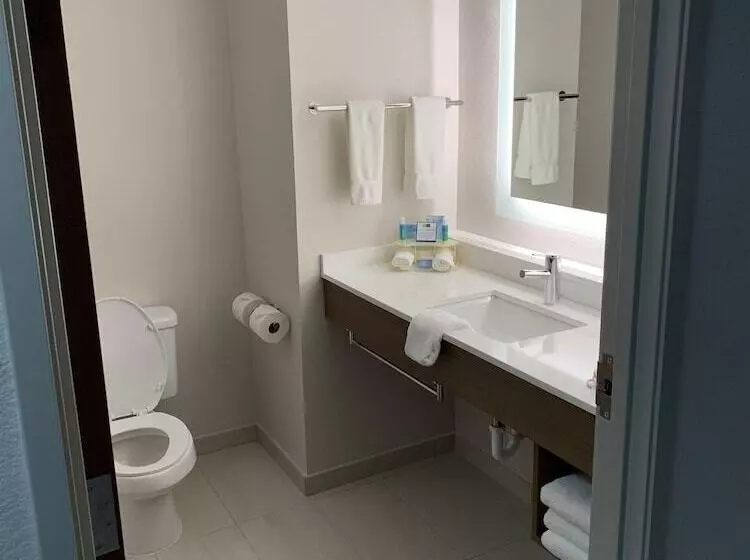 Holiday Inn Express Hotel & Suites Memphis/germantown, An Ihg