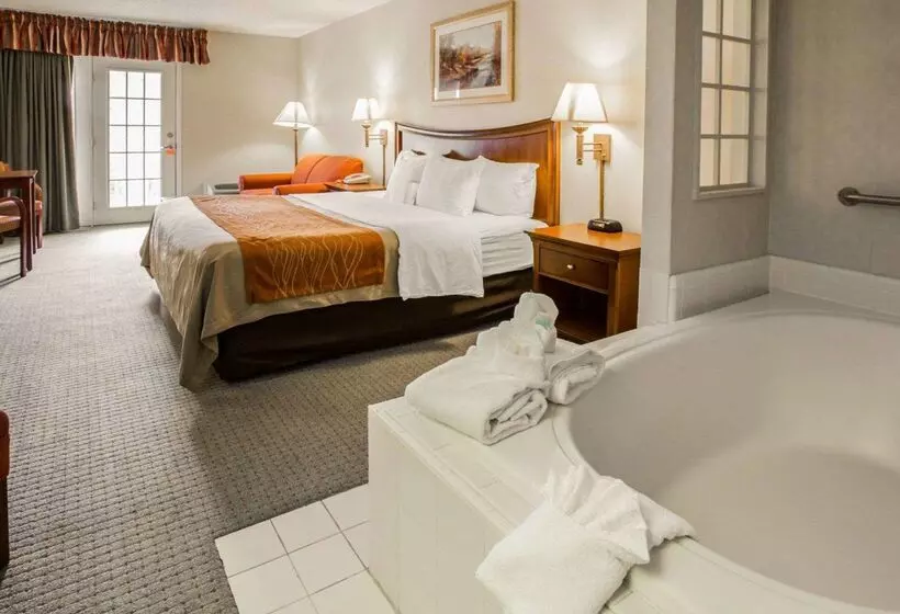 酒店 Rodeway Inn & Suites On The River