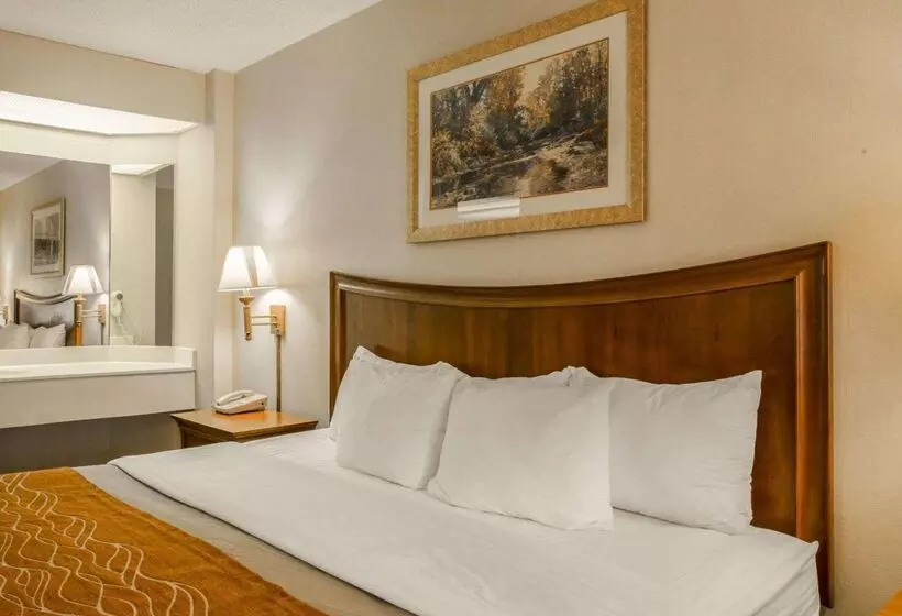 酒店 Rodeway Inn & Suites On The River