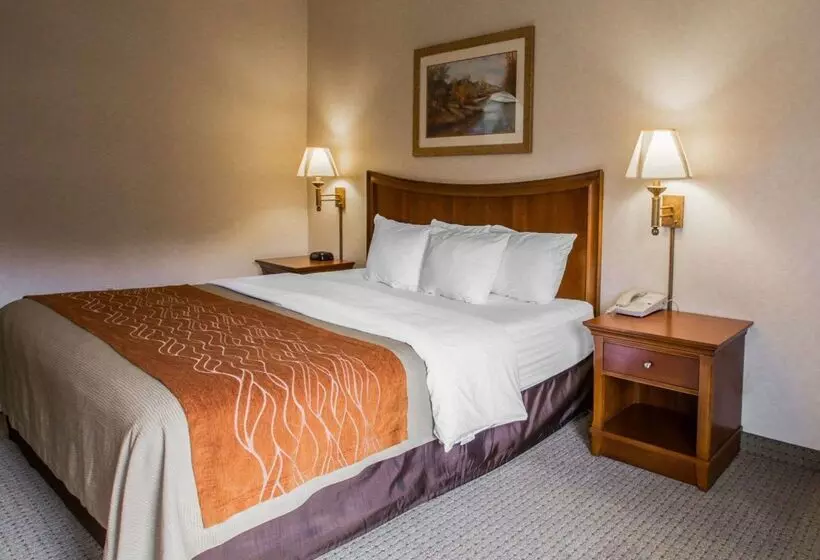 酒店 Rodeway Inn & Suites On The River