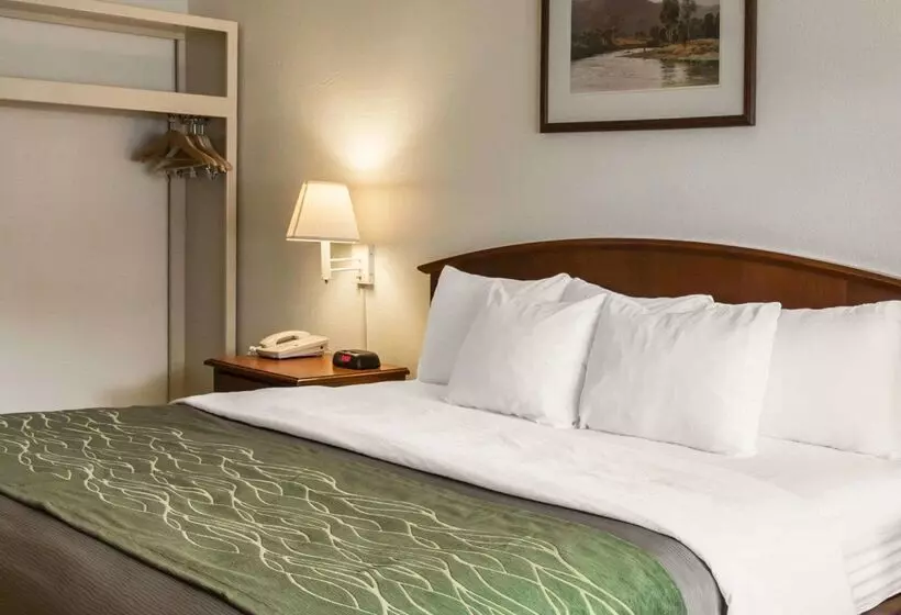 酒店 Rodeway Inn & Suites On The River