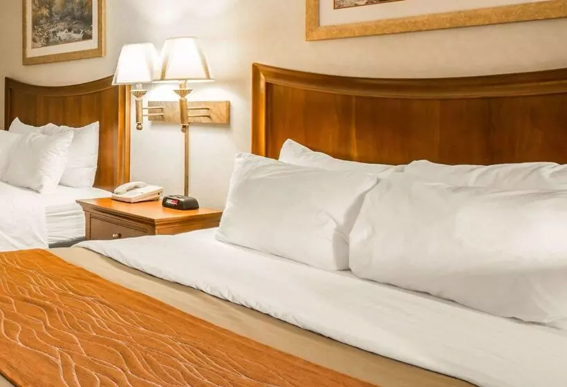 酒店 Rodeway Inn & Suites On The River