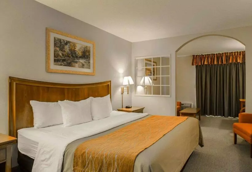 酒店 Rodeway Inn & Suites On The River