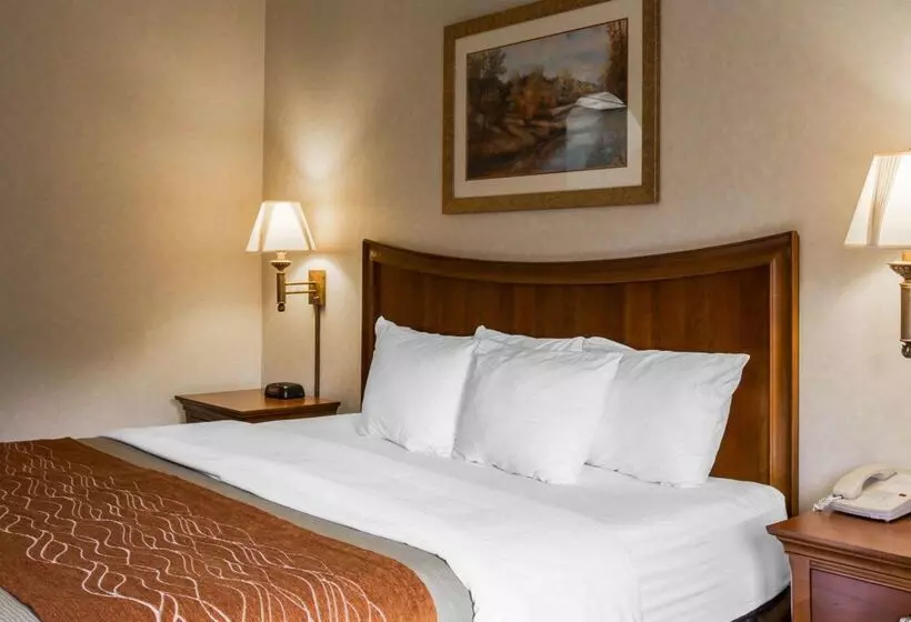 酒店 Rodeway Inn & Suites On The River