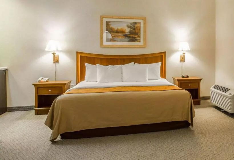 酒店 Rodeway Inn & Suites On The River