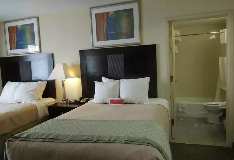 ホテル Royal Stay