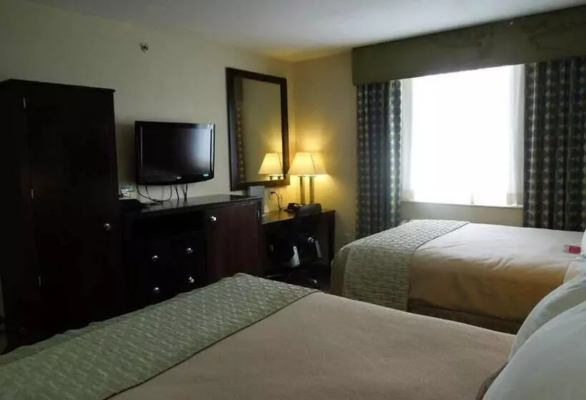 ホテル Royal Stay