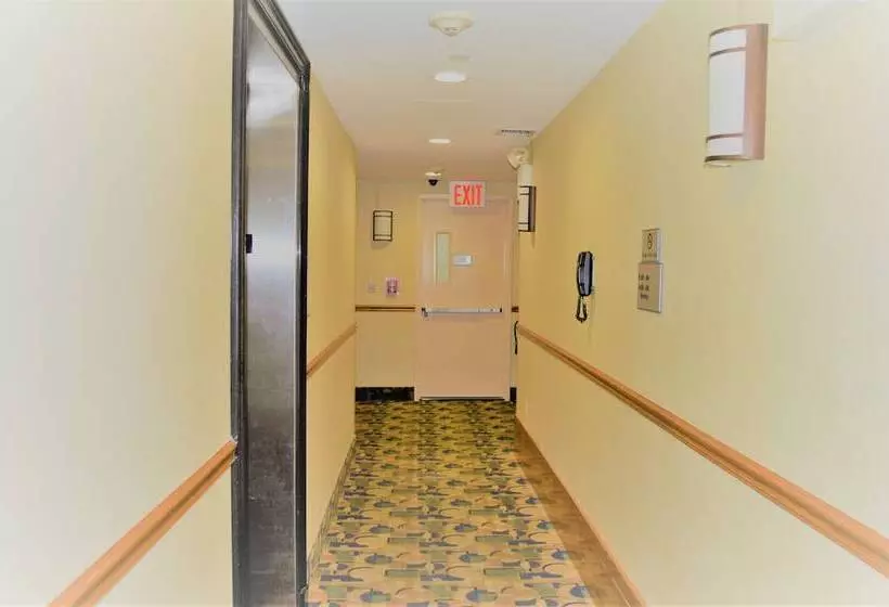 ホテル Royal Stay