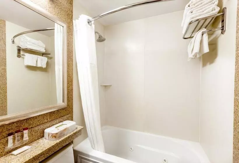 ホテル Royal Stay