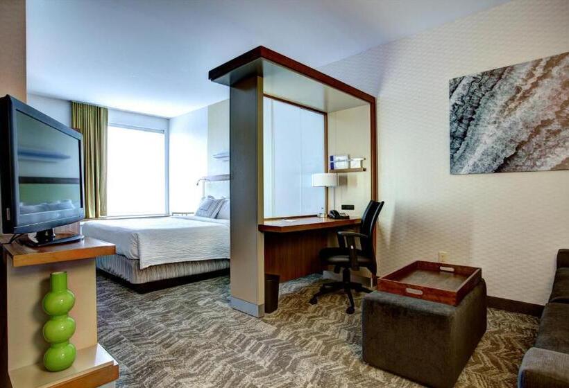 فندق Springhill Suites Harrisburg Hershey