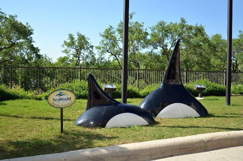 فندق Staybridge Suites San Antonio Sea World, An Ihg