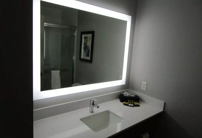 酒店 Holiday Inn Express And Suites Oklahoma City Northwest By Ihg