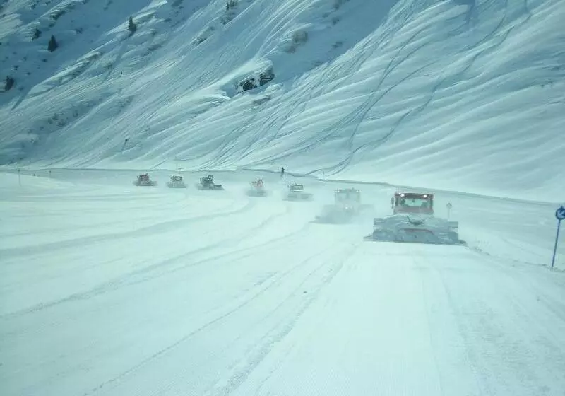 Отель Troschana